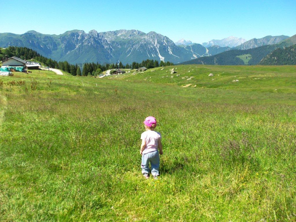 Il solitario